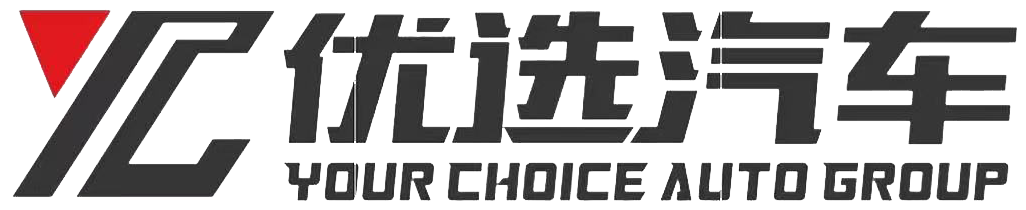 Your Choice Auto Group LLC.